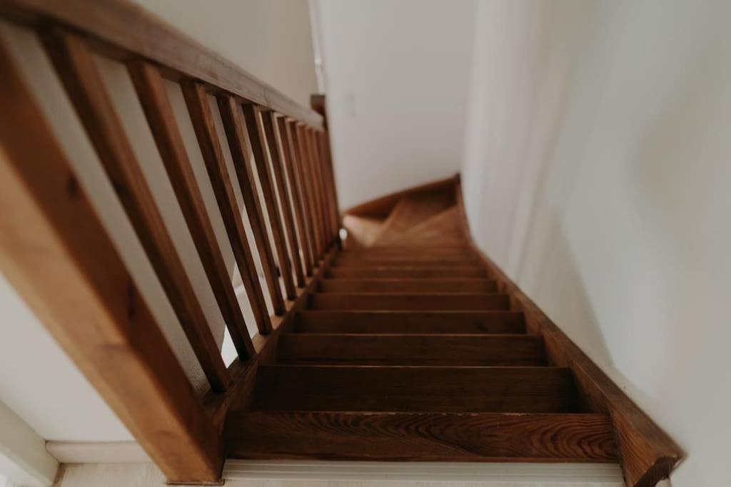 Apartament Le Nid Aureilhan  Zewnętrze zdjęcie