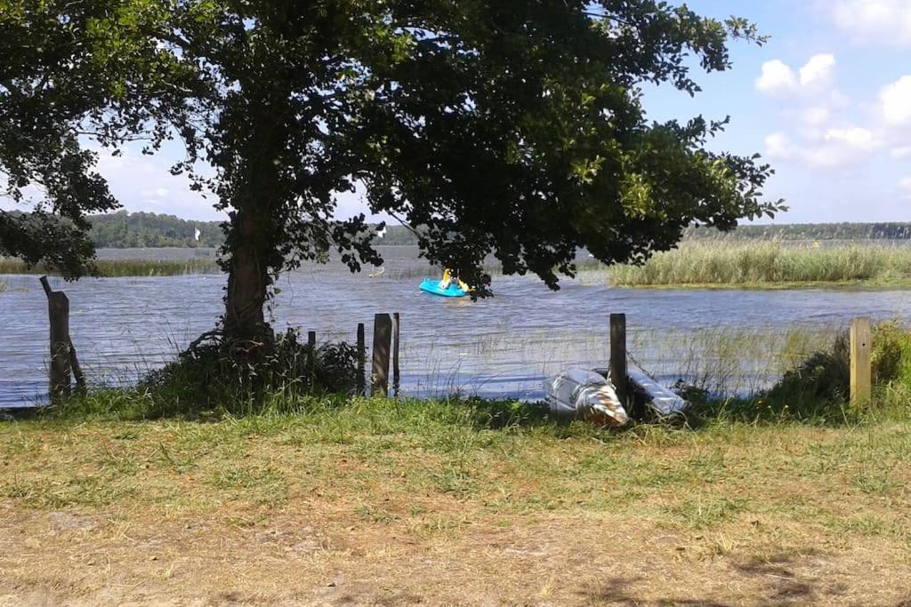 Apartament Le Nid Aureilhan  Zewnętrze zdjęcie